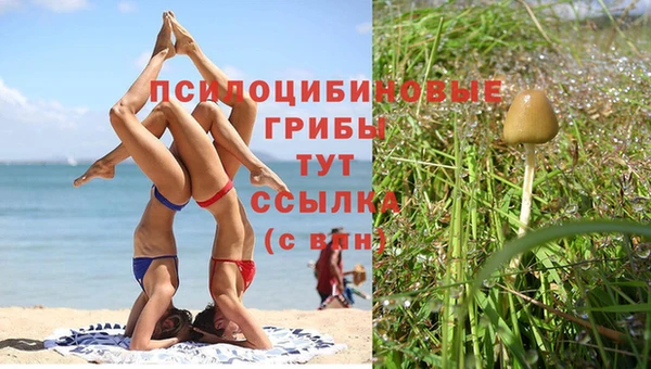 mix Армянск