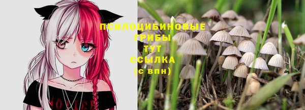 гашишное масло Аркадак