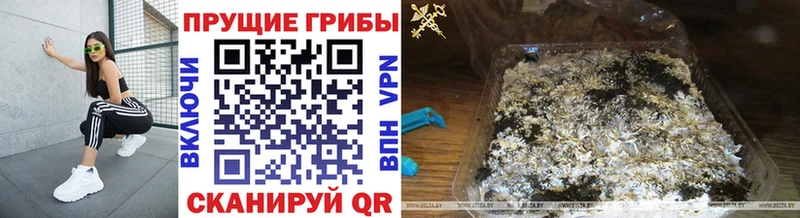 где купить наркоту Севск Галлюциногенные грибы ЛСД